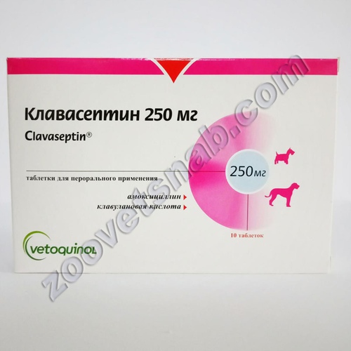 Клавасептин 250 мг